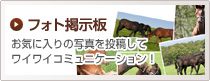 フォト掲示板 お気に入りの写真を投稿してワイワイコミュニケーション